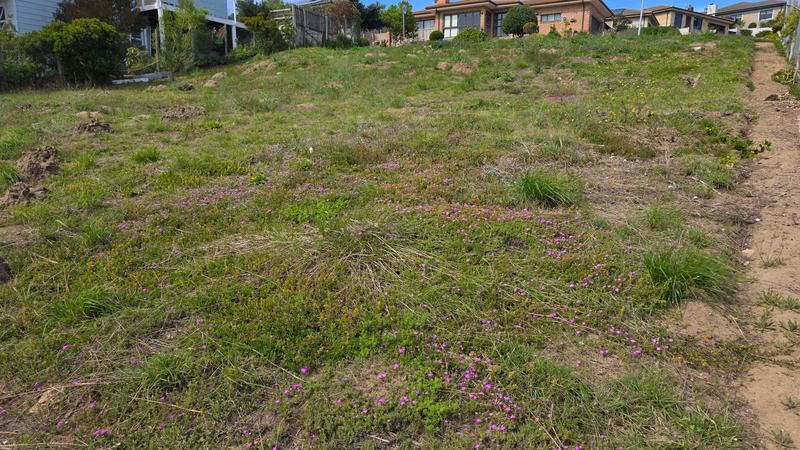 0 Bedroom Property for Sale in Reebok Western Cape